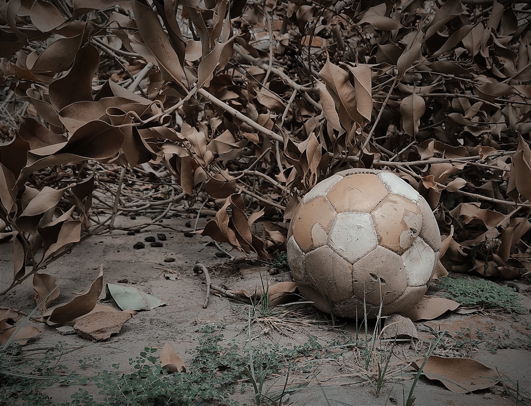 Different types of soccer cleats